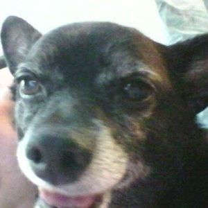 Meet your Posher, Crystal